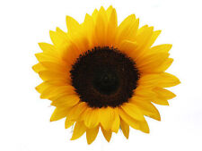 MAGNETE CALAMITA FRIGORIFERO