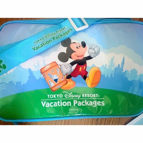 Pacchetto vacanze disney borsa - pacchetto,