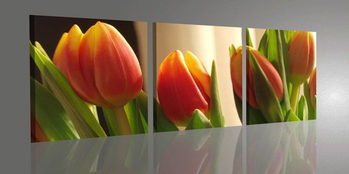 Quadro moderno tulipani - quadro, 3