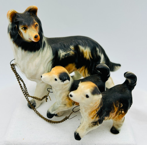 Collie lassie cane - collie, con