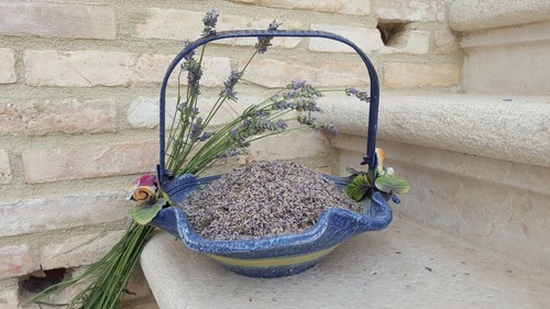 Arredo casa lavanda - arredo, casa-lavanda-fiori