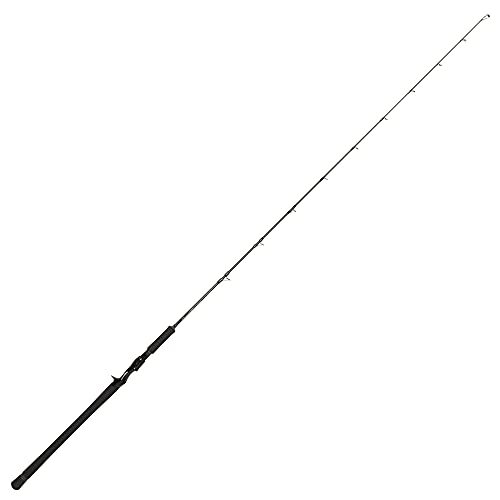 Major craft baitcasting rod - baitcasting,