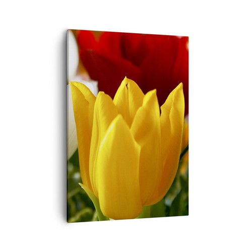 Quadro tela 50x70cm - quadro,