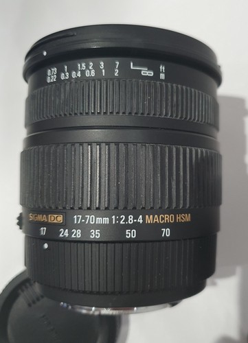 Obiettivo sigma 70 - obiettivo, af