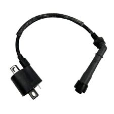 Bobina accensione per Jianshe