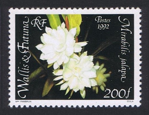 Wallis futuna mirabilis - futuna,