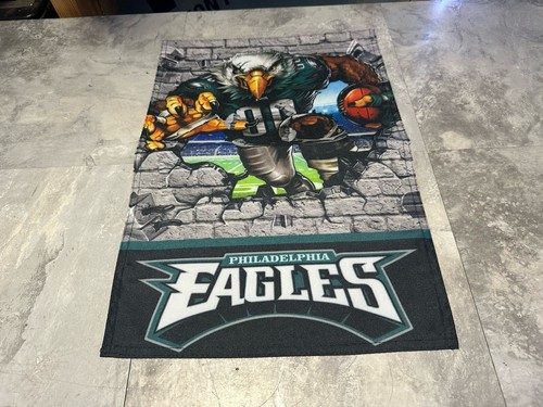 Philadelphia eagles swoop - philadelphia,