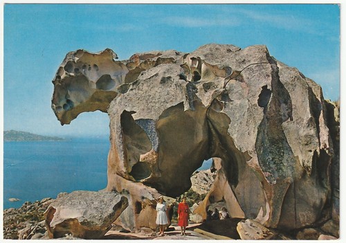 Capo orso sassari viagg - capo,