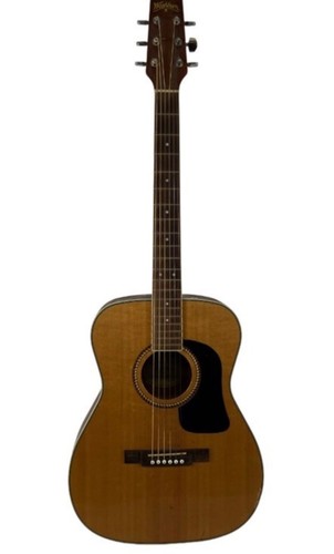 Washburn 10s chitarra - f-10s,