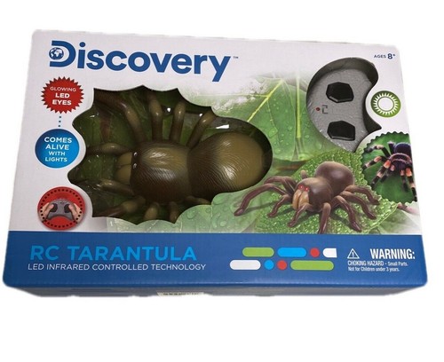 Discovery ragno tarantola - discovery’s,
