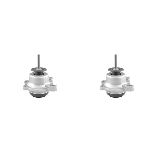 Tedgum supporto motore - 2x, per