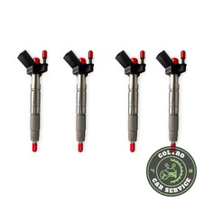 Iniettore Bosch 0445116001 BMW REVISIONATO 12 MESI GARANZIA