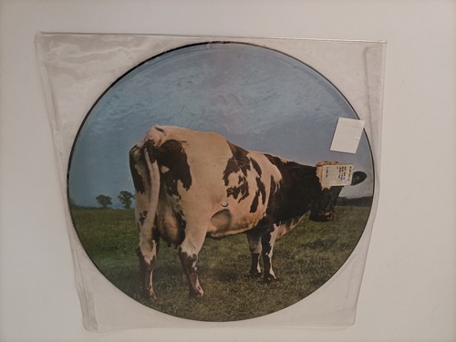 Pink floyd atom heart - pink,