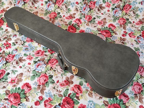 Custodia per chitarra tipo - , sg