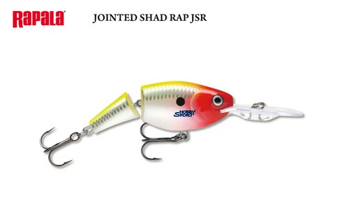 Rapala jointed shad rap jsr - rap, jsr-7