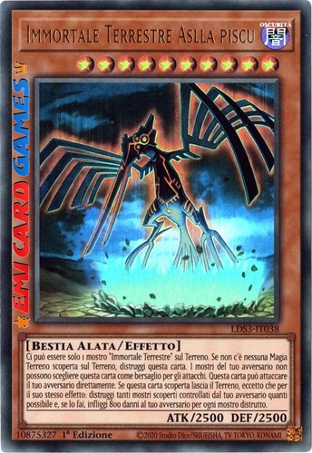 Immortale terrestre aslla - terrestre,