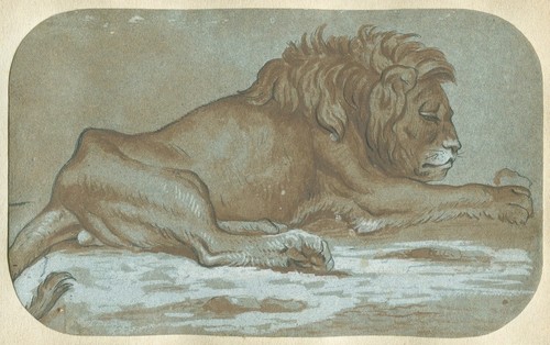 Xviiième lion couché - couché,