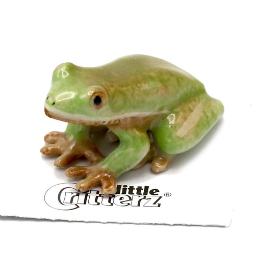 Little critterz frog green - frog,