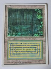Magic the Gathering Mtg -