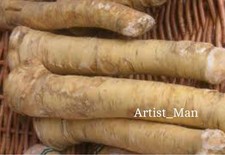 12 SEMI DI RAFANO -(“Il