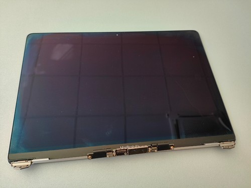 Schermo apple macbook - apple, pro