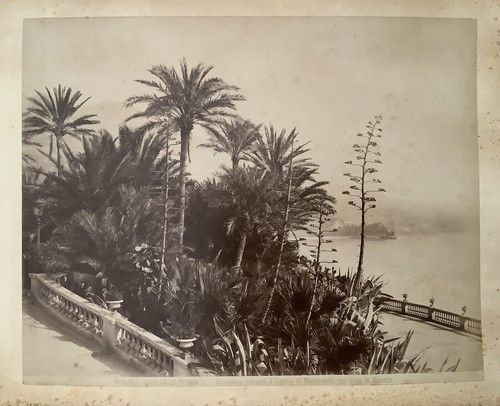 Foto originali monaco - originali,