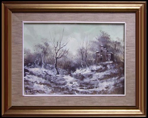 Grazioso paesaggio invernale - paesaggio,