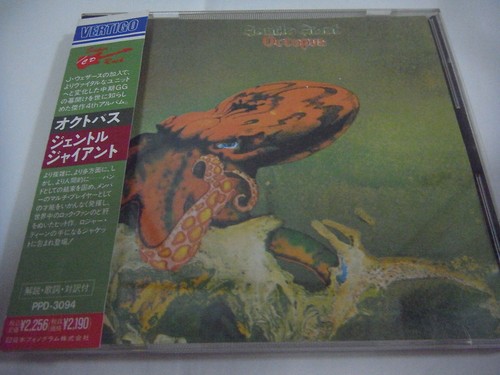Gentle giant octopus japan - gentle, giant-octopus