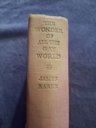 The wonder all gay - wonder,