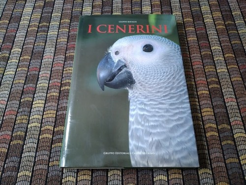 Gianni ravazzi cenerini - i,