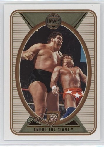 2022 panini chronicles wwe - panini,
