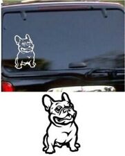 adesivo vetri auto moto cane