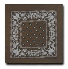 6 UPS Brown Paisley Bandana