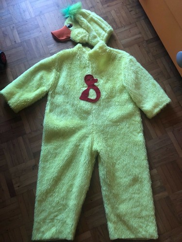 Costume carnevale bimbo