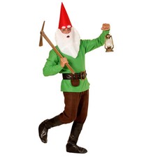 COSTUME GNOMO VERDE L