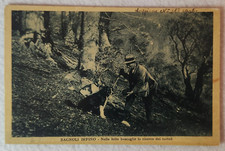 CARTOLINA BAGNOLI IRPINO AVELLINO CANI TARTUFO VIAGGIATA 1953 FORMATO PICCOLO