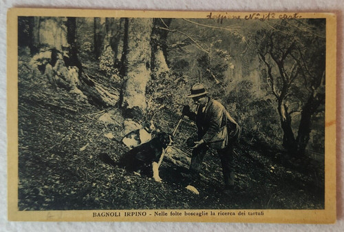 Cartolina bagnoli irpino - bagnoli,
