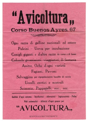 Milano volantino pubblicitario - volantino,