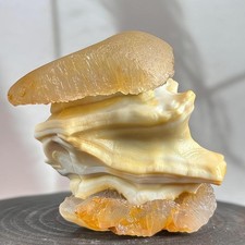 Regalo di Natale Cina Mongolia