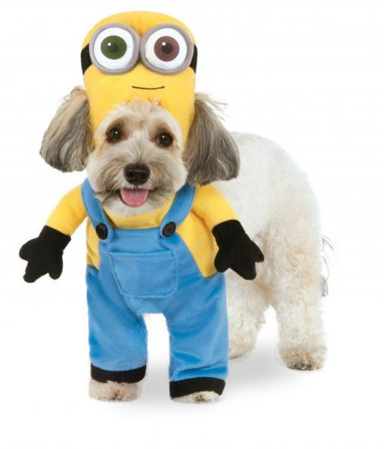 Pets minion bob - pets,