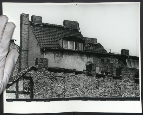 Fotografia schimmel - m.,