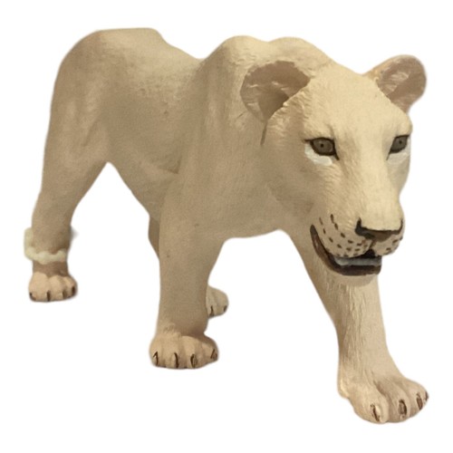 Animali animals wild life - animali,