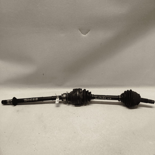 51771729 semialbero ant - 51771729,