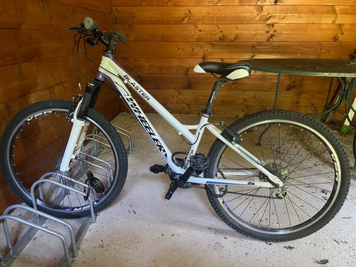 Bicicletta mountain bike