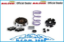 VARIATORE MALOSSI MULTIVAR