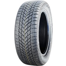 Tire Armstrong Ski-Trac PC