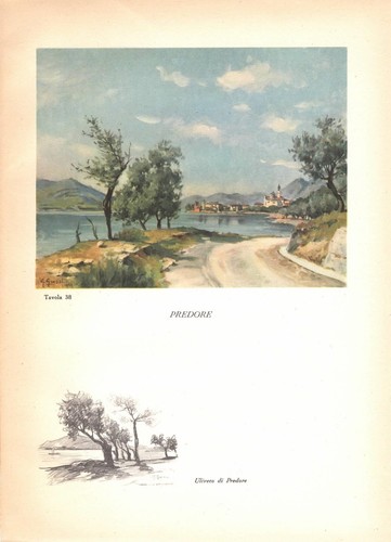 Predore lago iseo - lago, panorama