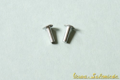 Vespa rivetti emblema - vespa, 2x