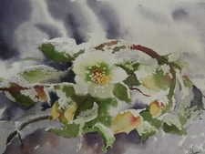 Aquarelle originale signée
