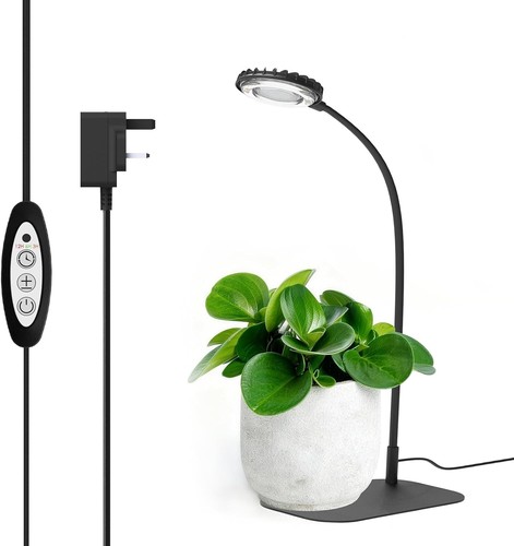 Sansi luce coltivazione - sansi,